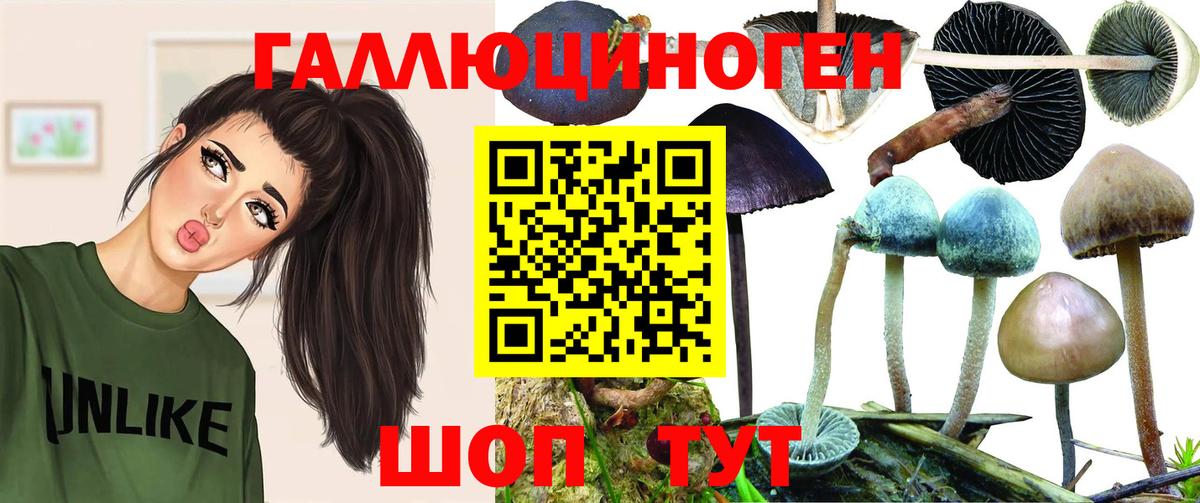 Волжск  купить  сайты  Вход с VPN  Псилоцибиновые грибы MAGIC MUSHROOMS  Галлюциногенные грибы Psilocybe 